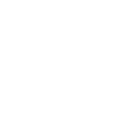 Entrepreneur icon